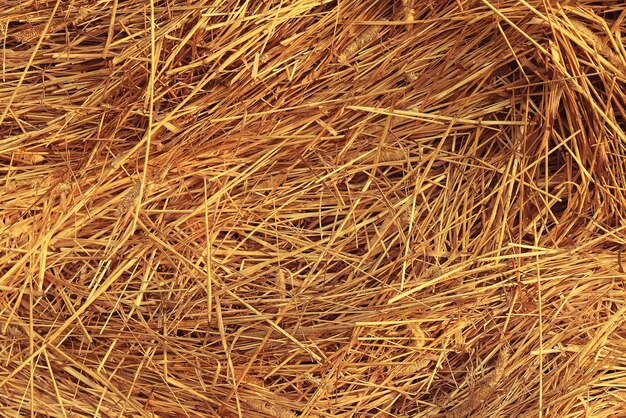 background texture straw yellow nature ornament