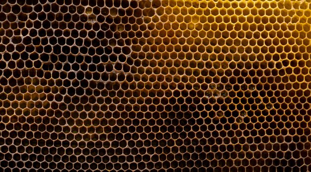 Background textured black and yellow honeycombs Bee honey frame honeycomb wax Beekeeping