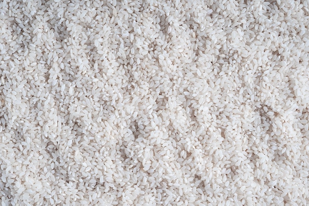 Background of top view of texture of white rice seeds which is domesticated cereal grain