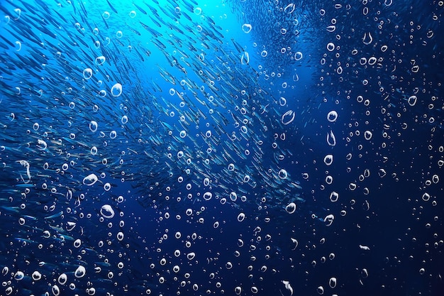фон под водой пузырьки воздуха риф / абстрактный морской фон, дайвинг, природа, океан
