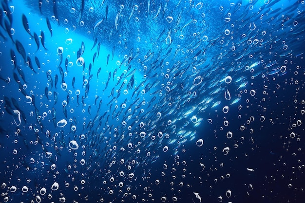 背景水中気泡リーフ/抽象的な海の背景、ダイビング、自然、海
