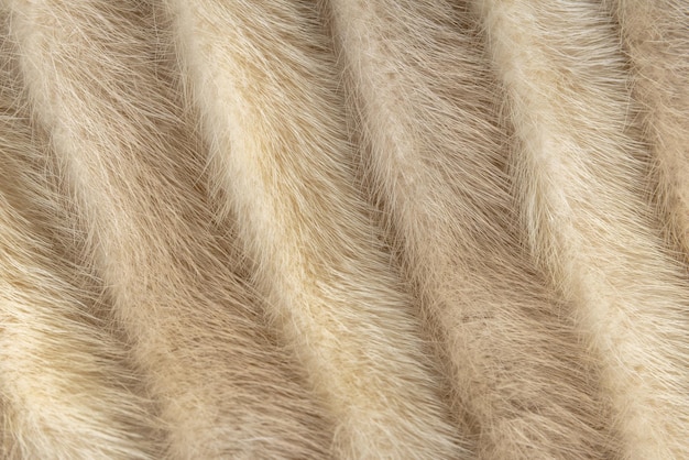 A background of vintage mink fur Neutral tones suitable for Animal Cruelty or luxury goods projects