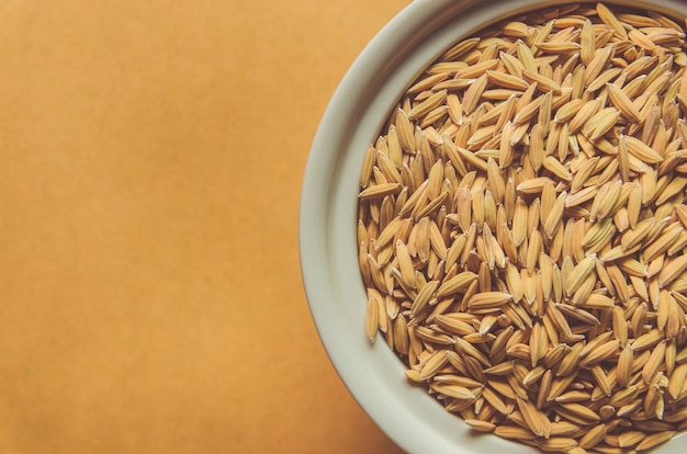 Background and wallpaper by pile of paddy rice and rice seed.