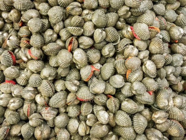 Background and wallpaper of fresh cockle for sell in the market.