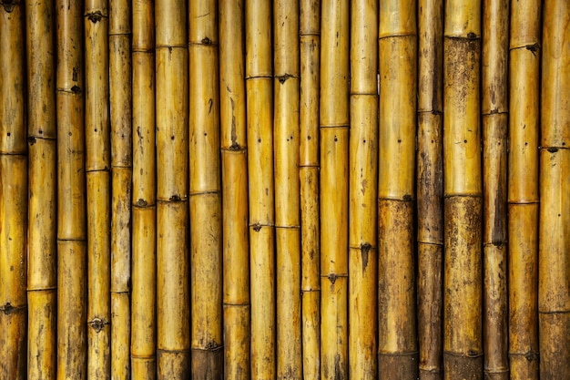 Photo background and wallpaper of wall trunk bamboo.