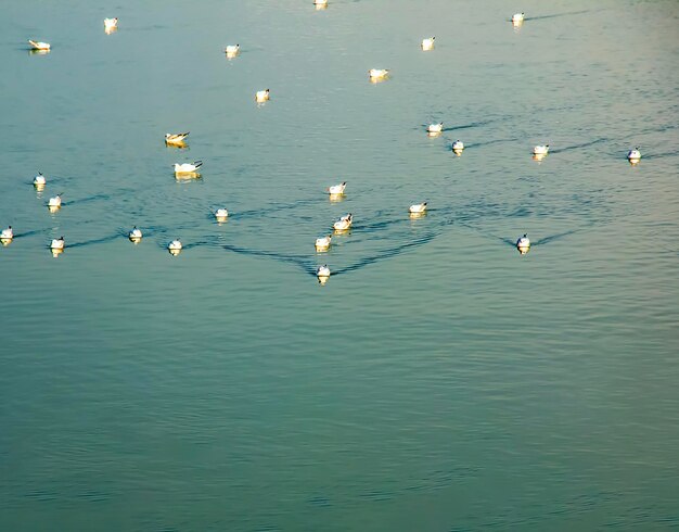 Background of the water surface of the Salzach river Texture of water of a mountain river