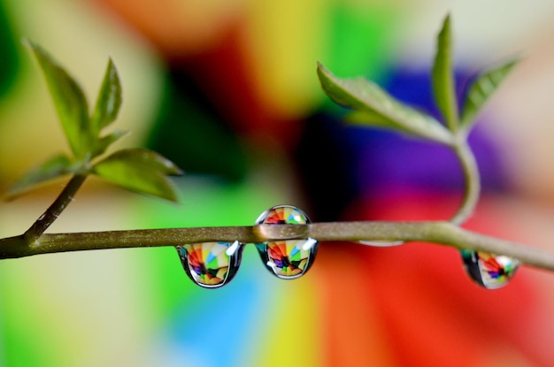 Foto acqua di fondo