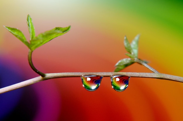 Foto acqua di fondo