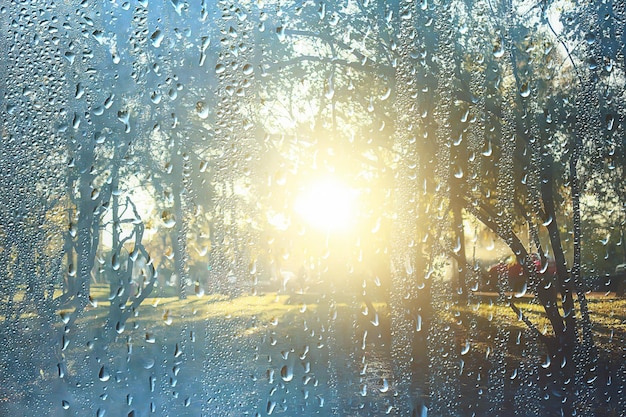 Background wet glass drops autumn in the park / view of the
landscape in the autumn park from a wet window, the concept of
rainy weather on an autumn day