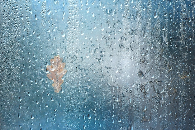 Background wet glass drops autumn in the park / view of the\
landscape in the autumn park from a wet window, the concept of\
rainy weather on an autumn day
