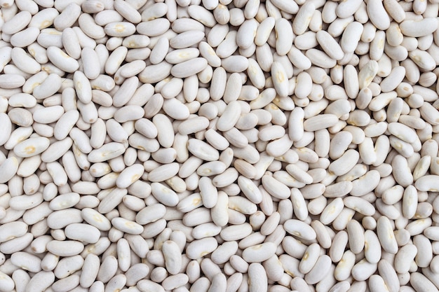 Background of white beans.