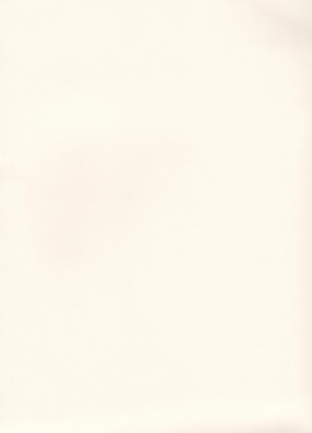 Photo background white paper texture