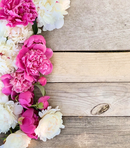 Photo background of white and pink peonies