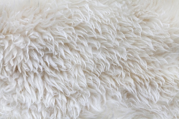 Photo background of white wool.