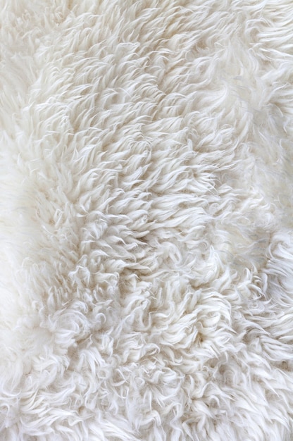 Background of white wool