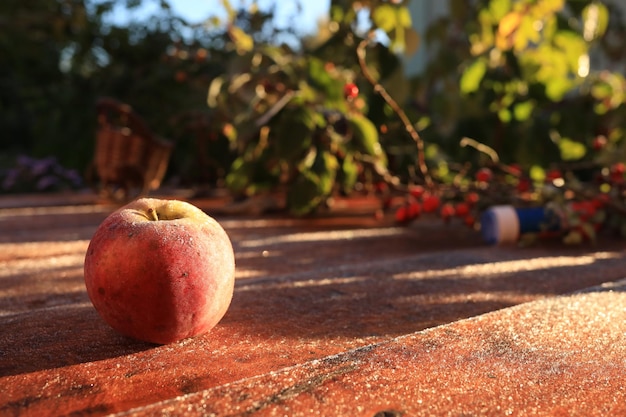 Background with an apple on the table at sunrise Copy space