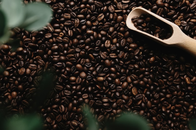 Background with array of dry coffee beans