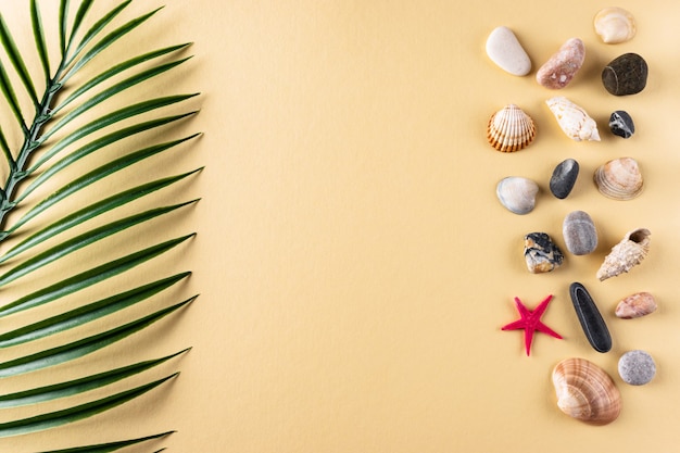 Background with a collection of seashells stones and a palm leaf