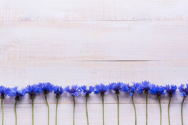 Background with fresh cornflowers