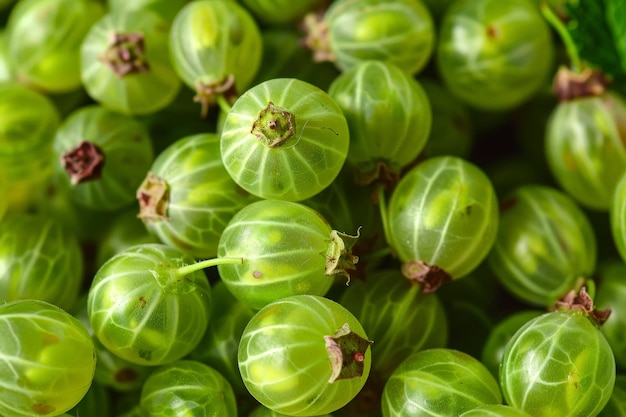 Foto sfondio con uva fresca raccolta localmente coltivata d'estate deliziosa gustosa e sana bacca