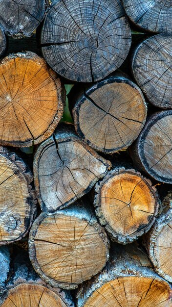 Background With Large Woodpile In The Summer Forest From Sawn Old Big Pine And Spruce Debarked Logs For Forestry Industry