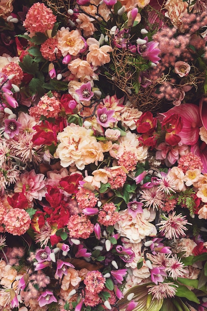 Background  with a lot of different beautiful flowers