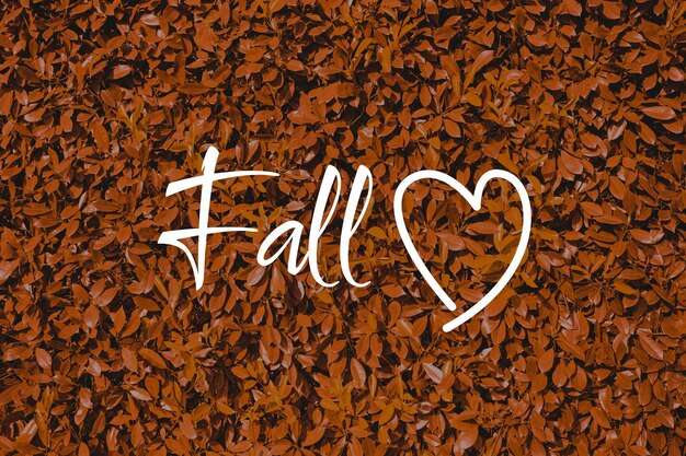 Photo background with orange autumn leaves and an inscription in english fall fall and autumn background