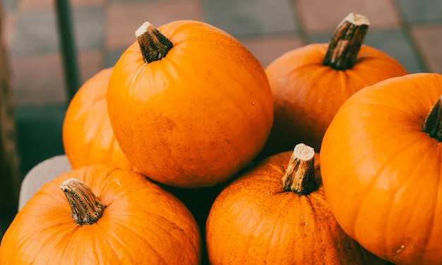 Background with orange pumpkins closeup