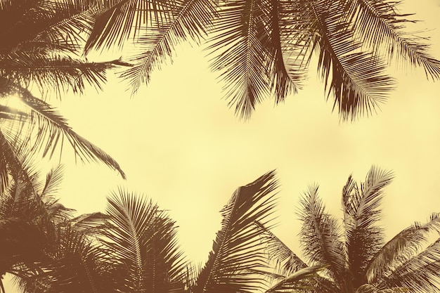 Background with palm leaves tinted yellow and brown Copy space in the center Cover splash print template