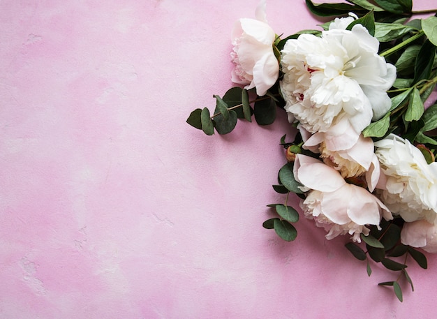 Background with pink peonies