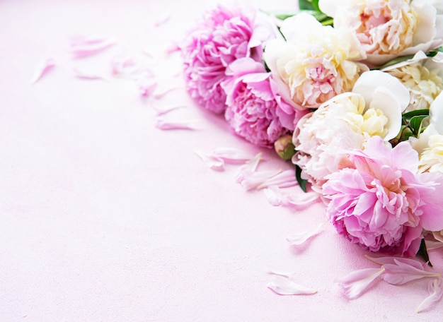 Background with pink peonies