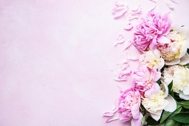 Background with pink peonies