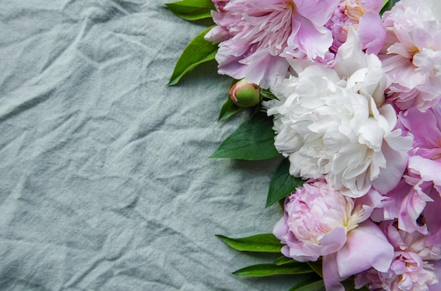 Background with pink peonies