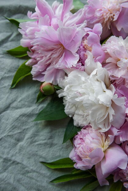 Background with pink peonies