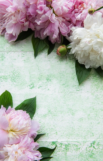 Background with pink peonies