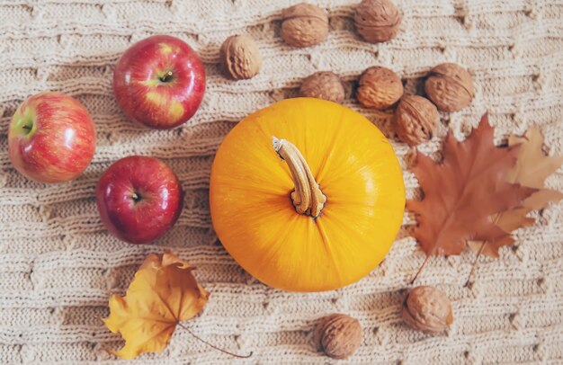 Sfondo con zucca. giorno del ringraziamento. messa a fuoco selettiva.