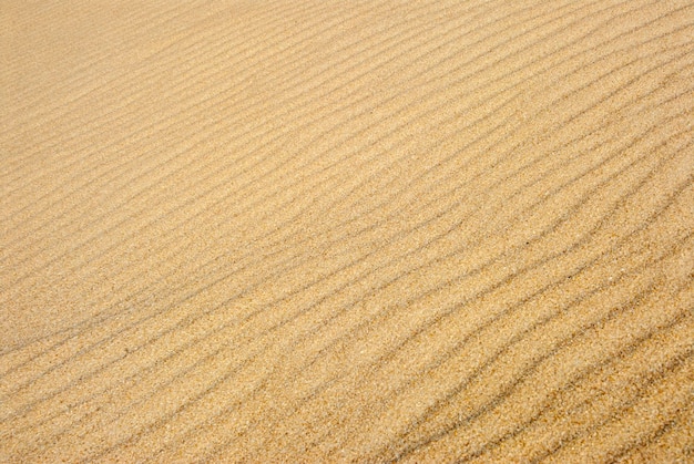 Background with rippled sand