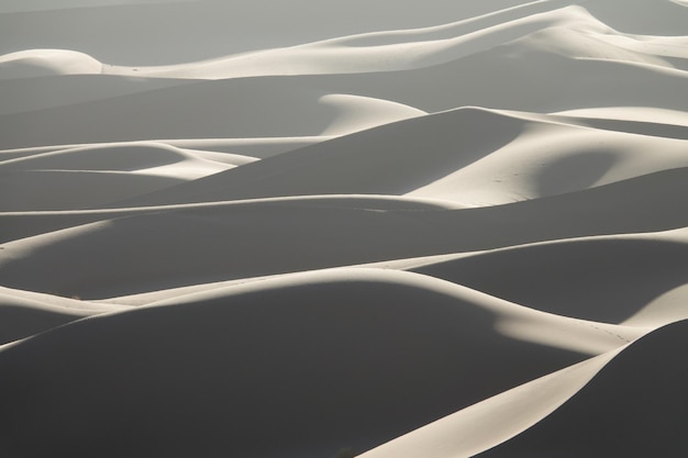 Background with sandy dunes in desert