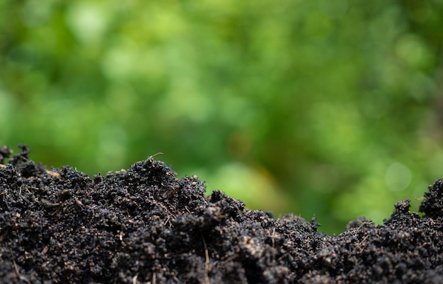 Background with soil and green from nature Environmental protection concept