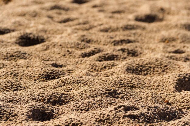 background with texture of sand and dune in the summer