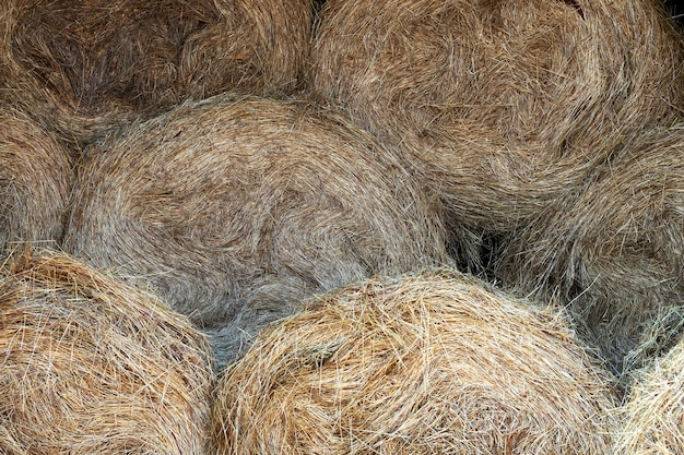 Background with yellow hay bales stacked in piles