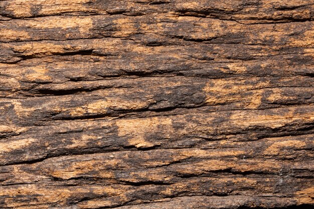 Background wood texture