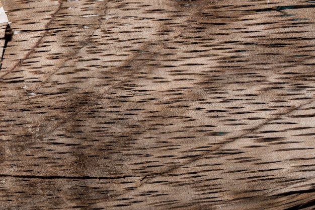 Background wood texture