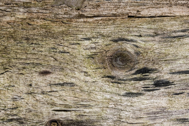 Background wood texture