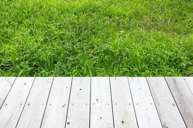 背景の木と背景の草。