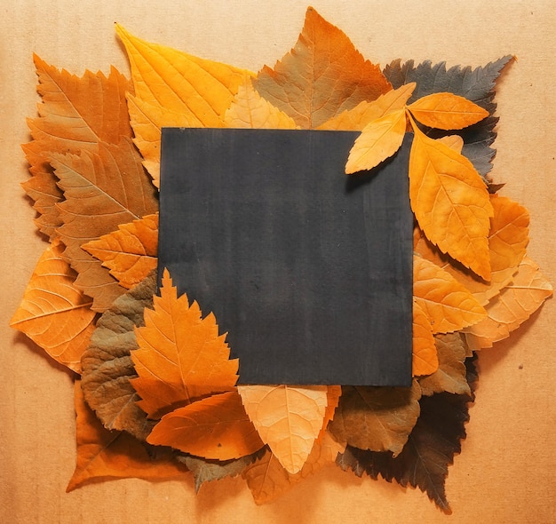 Background of yellow leaves with a paper form