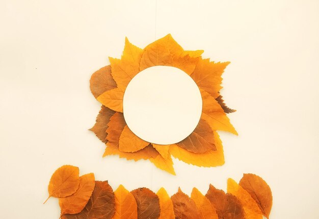 Photo background of yellow leaves with a paper form