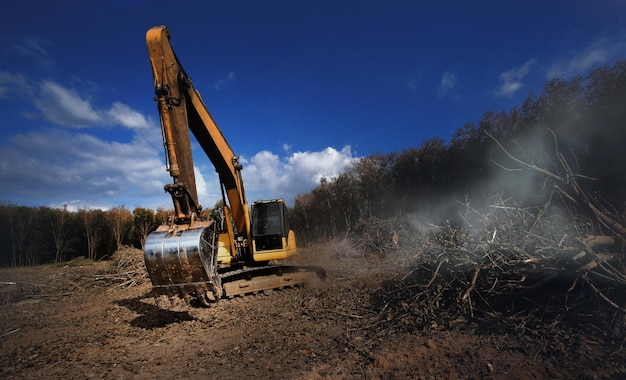 Backhoe werken met rij para-rubberboomplantages als achtergrondOntbossing