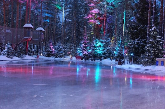 Backlit bright ice on a skating rink in the middle of the forest.