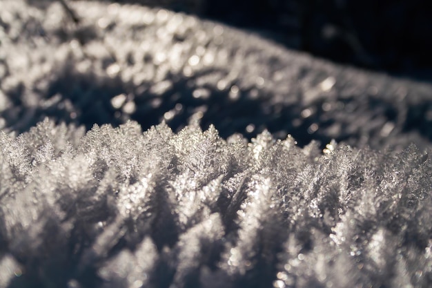 Foto cristallo di ghiaccio retroilluminato sulla neve in inverno natura retroilluminata dal sole della sera